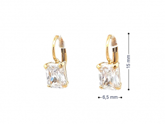 Zlaté náušnice NUP25803