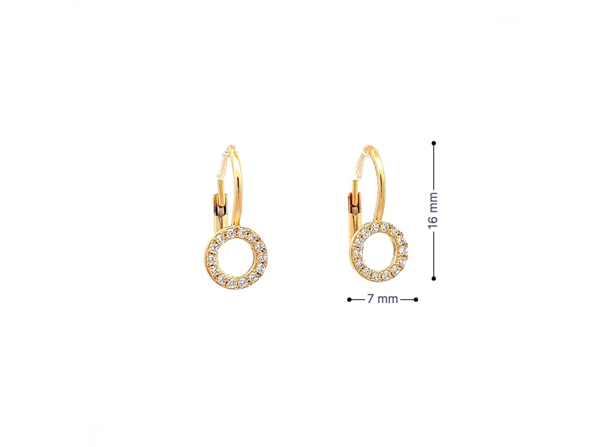 Zlaté náušnice NUP25911