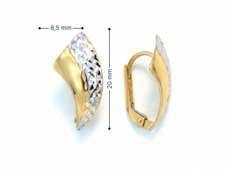 Zlaté náušnice NUP26310