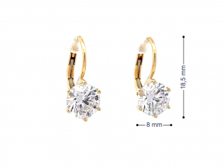 Zlaté náušnice NUP25903