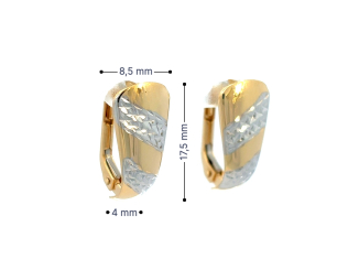 Zlaté náušnice NUP26312