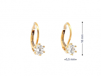 Zlaté náušnice NUP25905