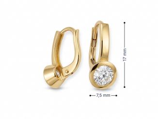 Zlaté náušnice NUP26304