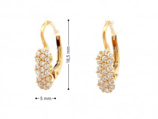Zlaté náušnice NUP26303